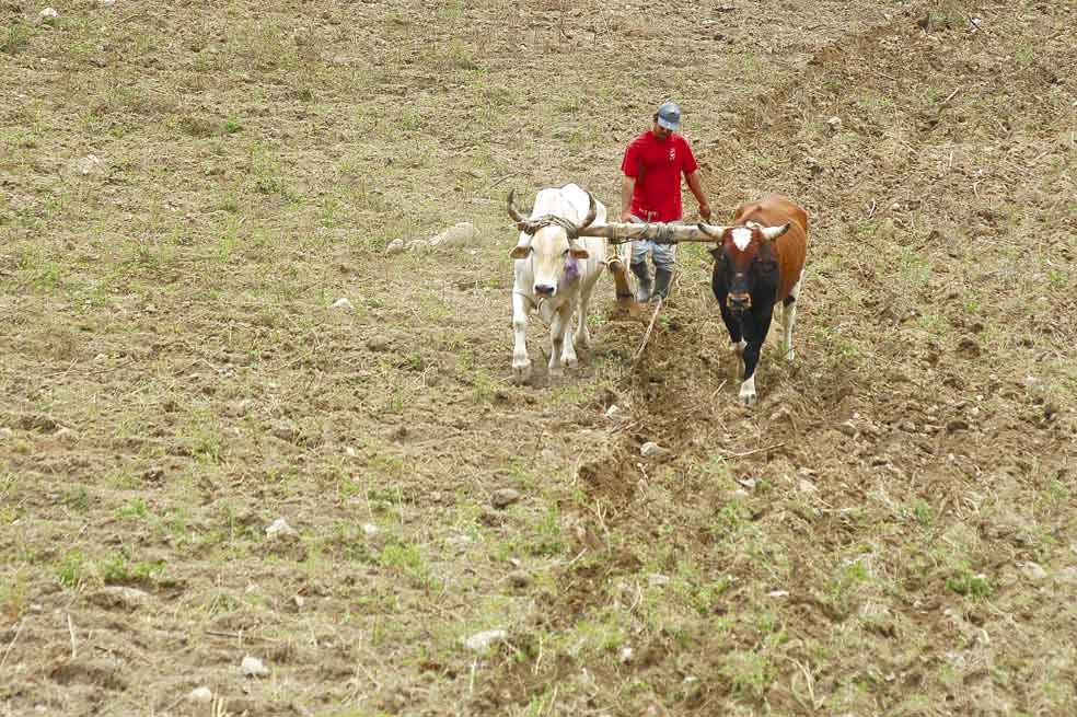 La reforma agraria de los campesinos