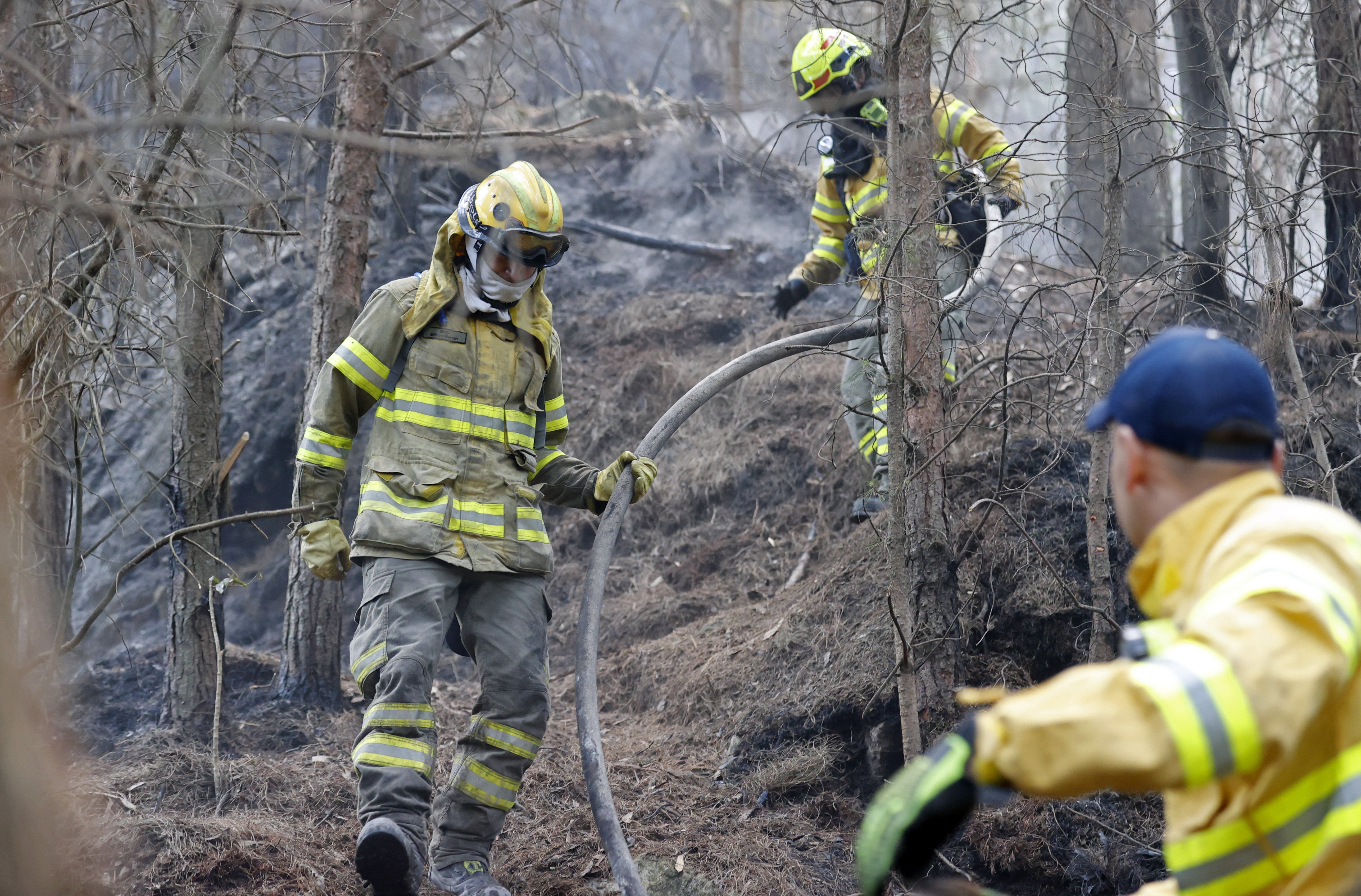 Bomberos atienden incendios forestales en varios puntos de Bogotá