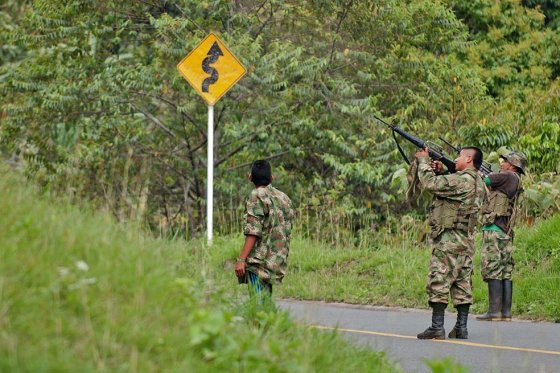 Fiscalía pide a Mindefensa presencia de Comisión de Verificación en zonas de preagrupamiento