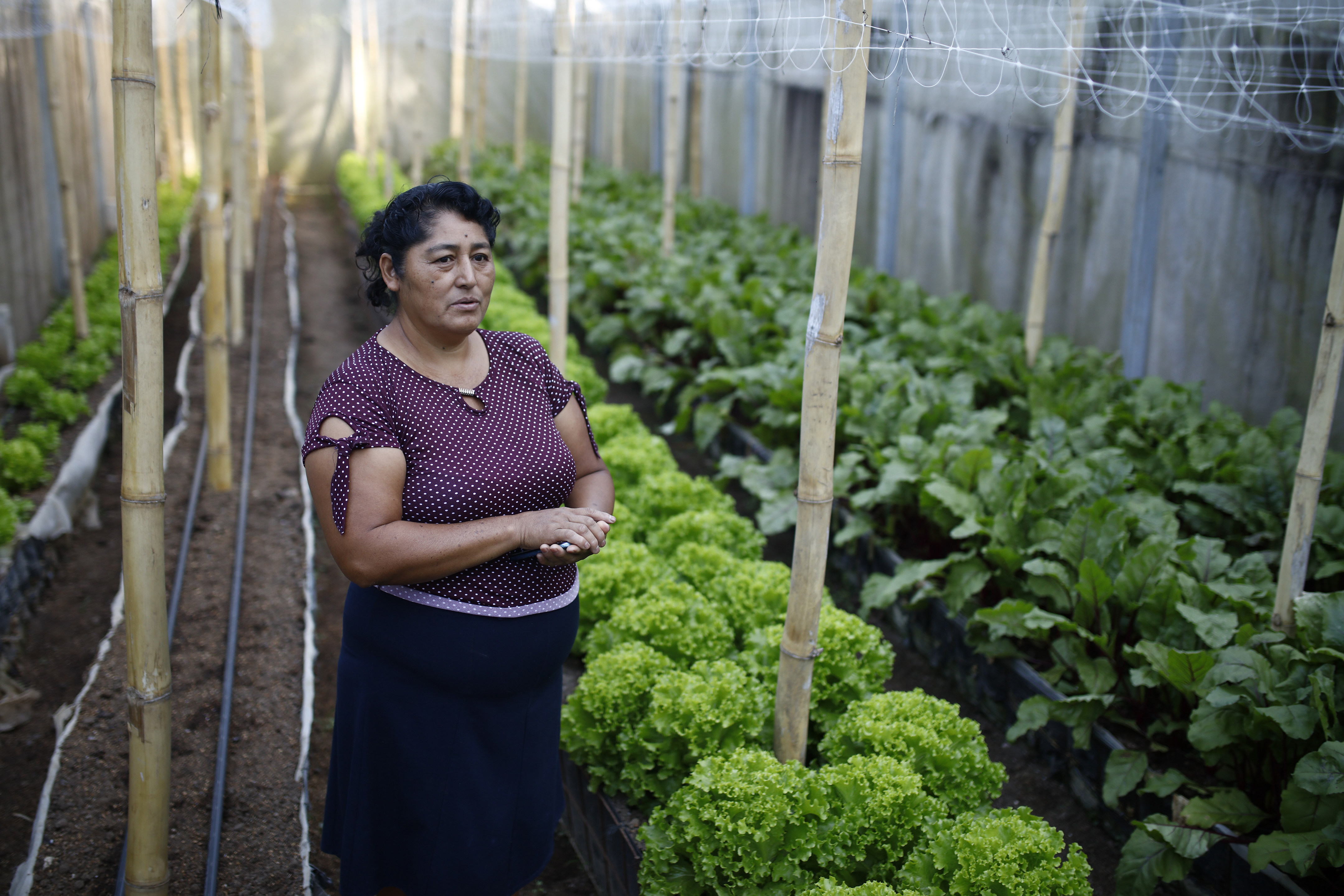 Agroecología en El Salvador: el éxito de un proyecto liderado por mujeres