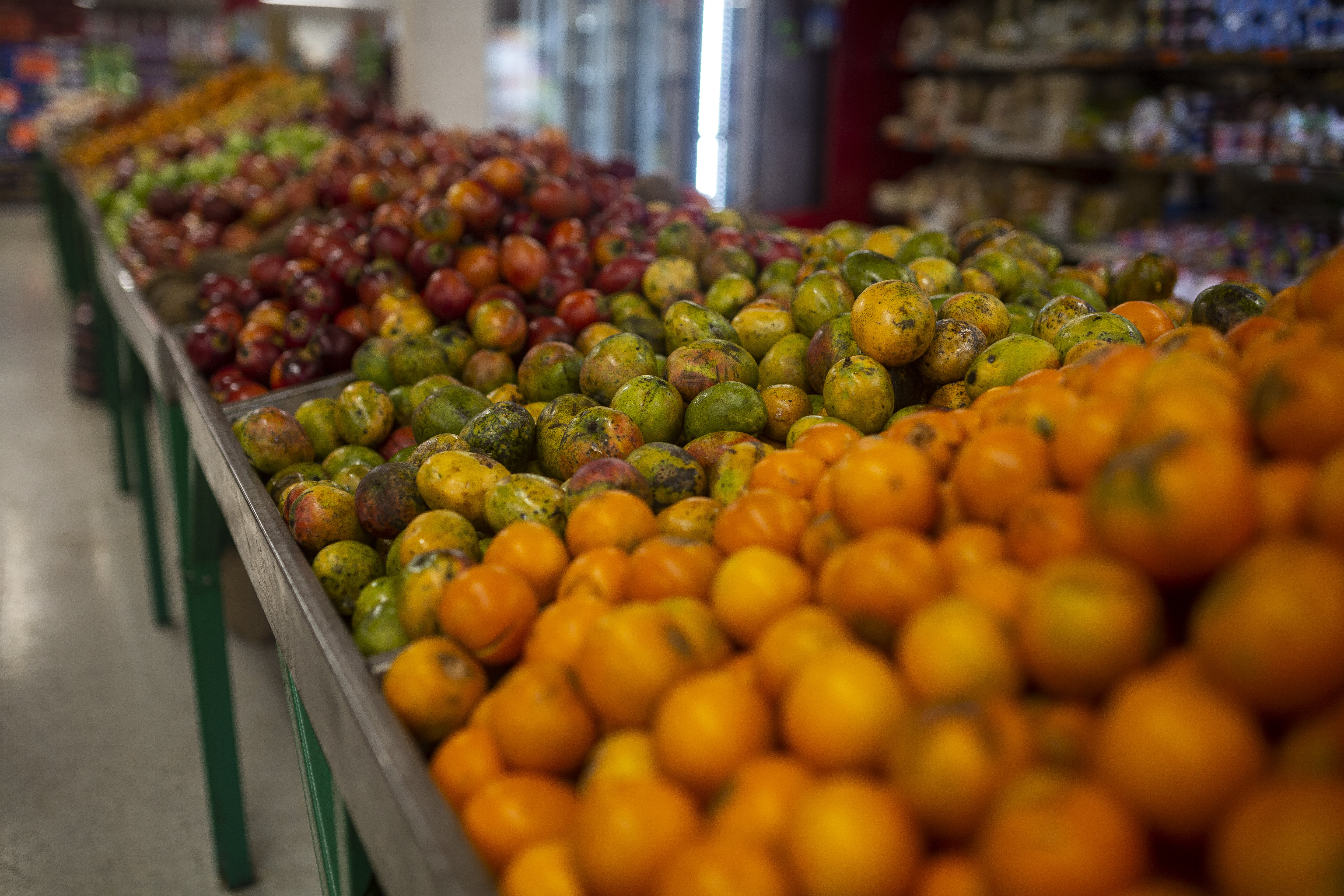 Cuatro de cada 10 de los alimentos que se producen en el mundo no se consumen.