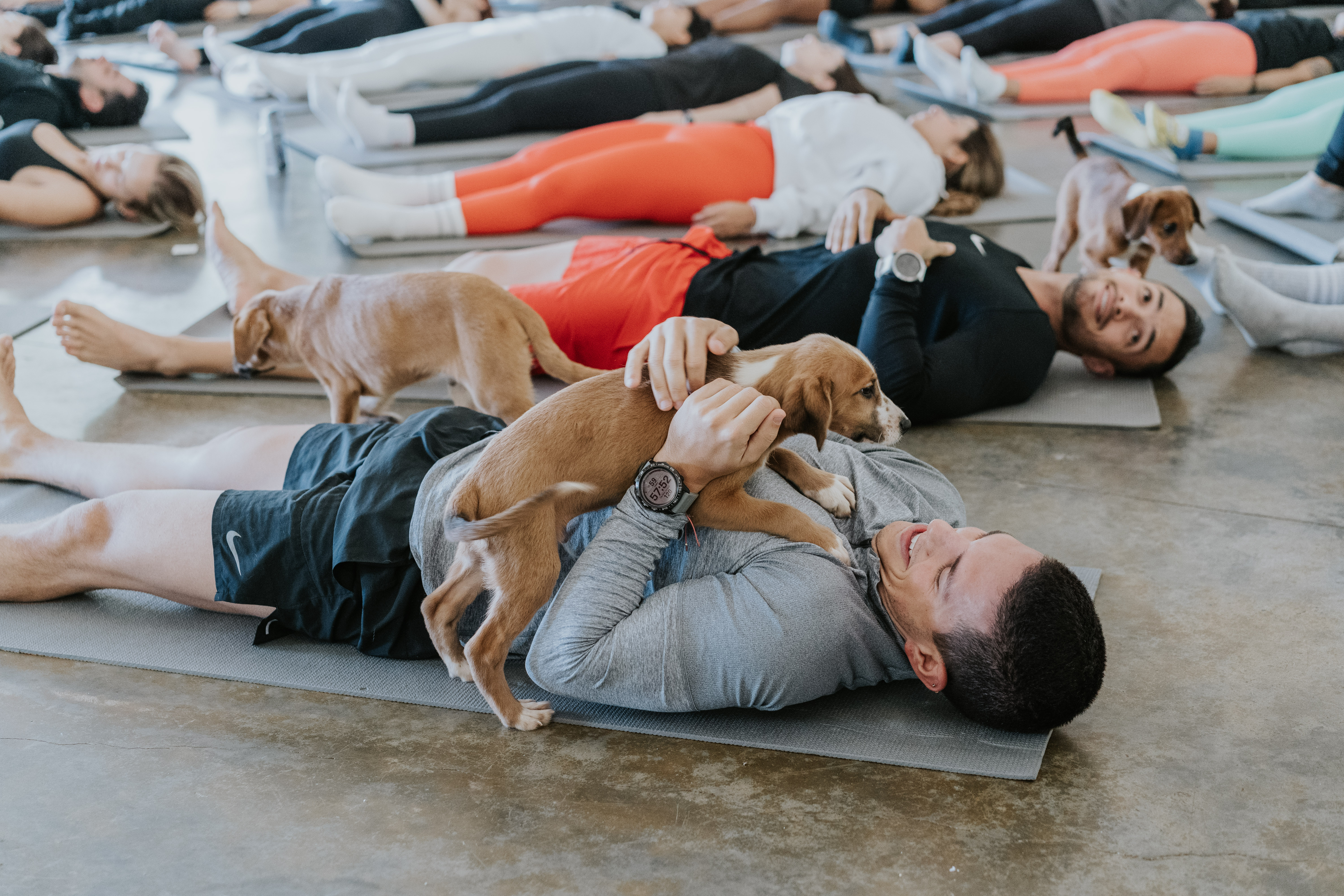Yoga con cachorros: la experiencia que une bienestar emocional y adopciones responsables