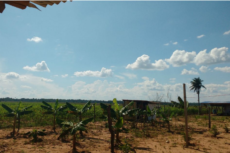 Enredos para dar a campesinos hacienda El Porvenir, que fue de Víctor Carranza
