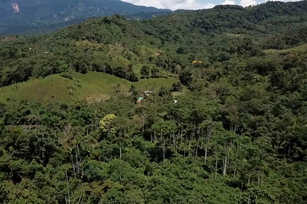 Colombia, el país más desigual de América Latina, según Índice de Desarrollo Regional