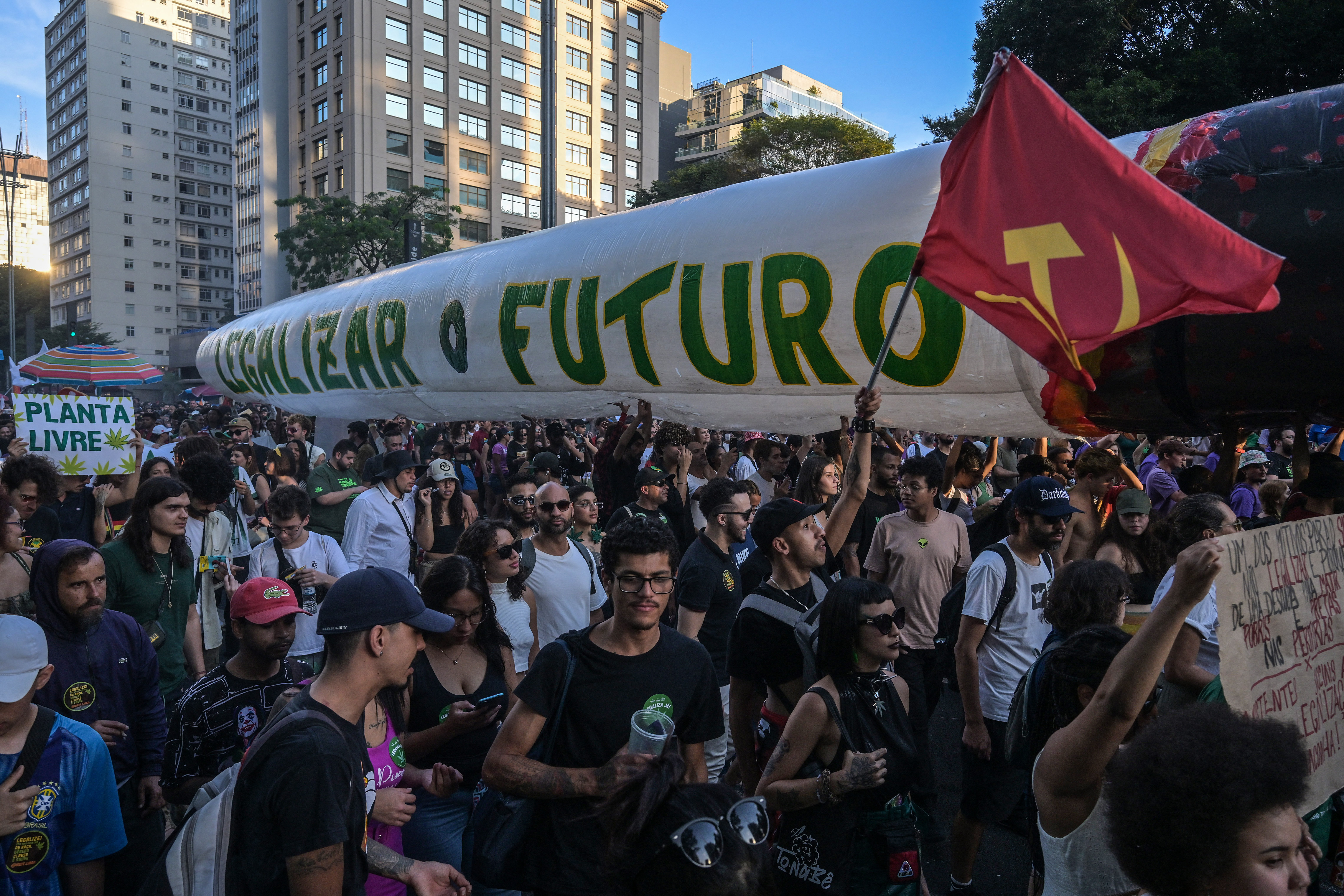 Brasil fija en 40 gramos la dosis de marihuana que diferencia usuario de traficante