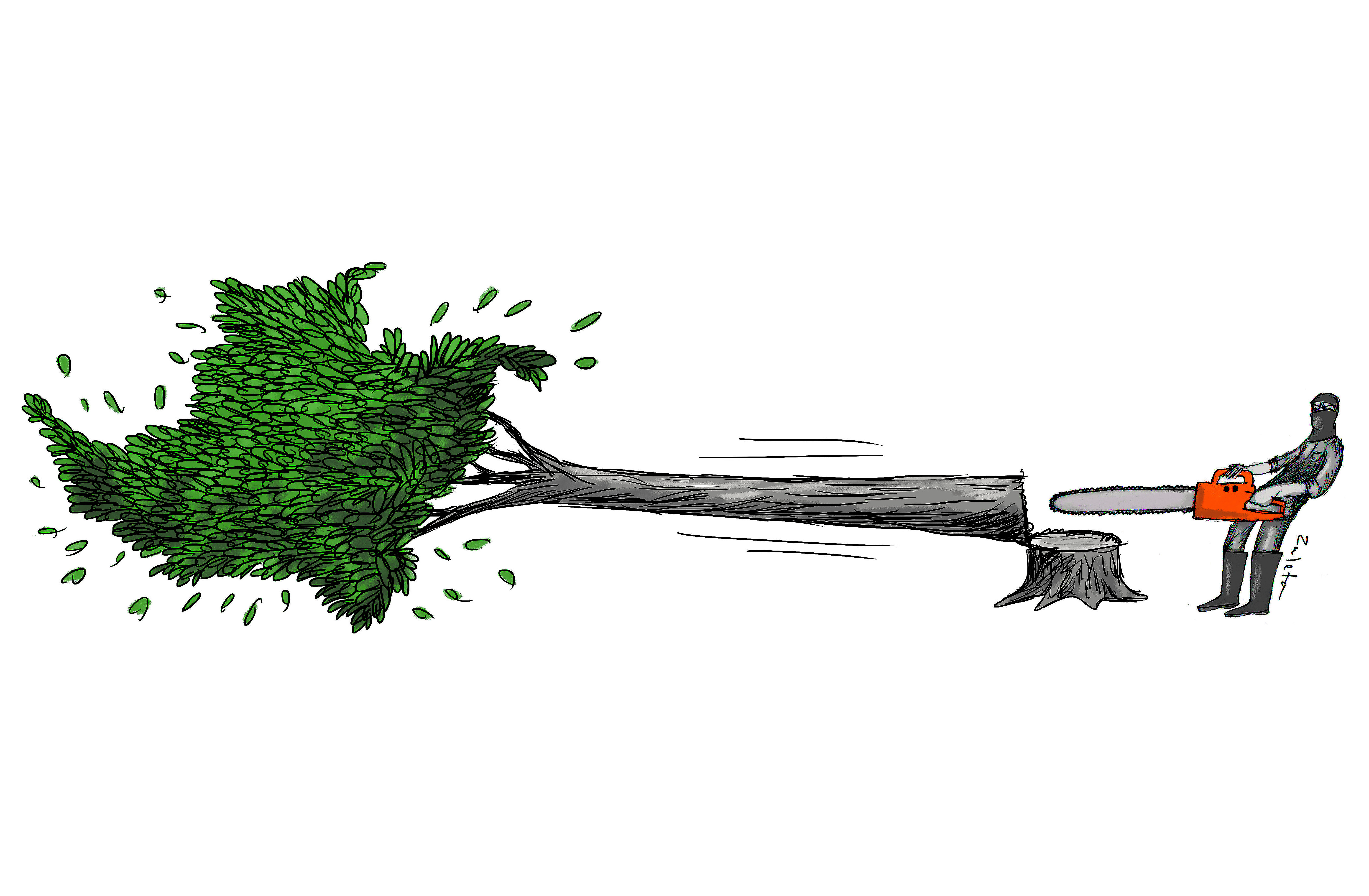 Deforestación ilegal