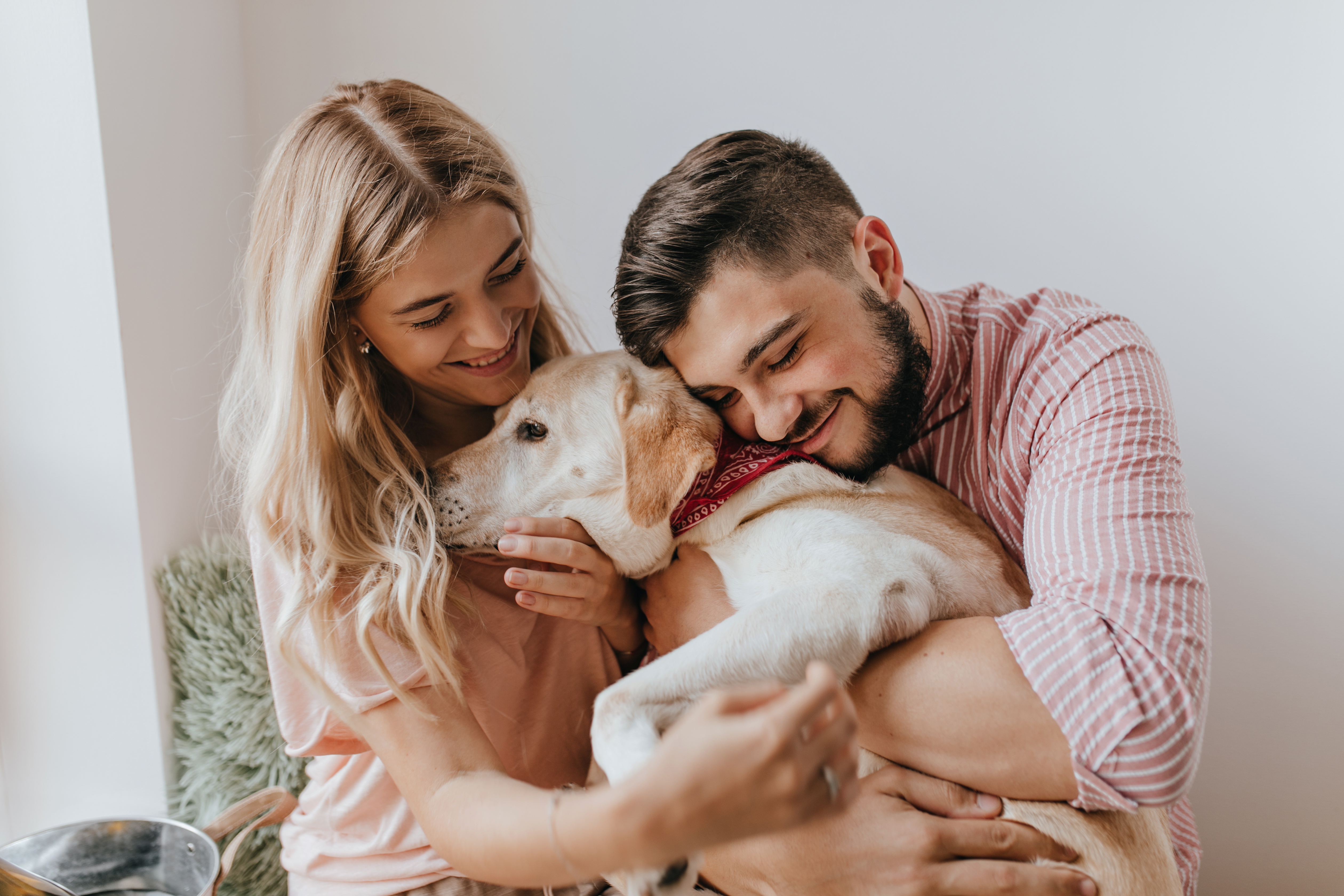 Cosas que los perros solo permiten a su persona favorita