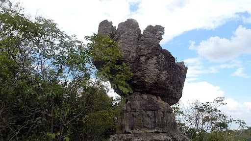 Cueva de los Guácharos y Ciudad de Piedra: aventuras en el Guaviare