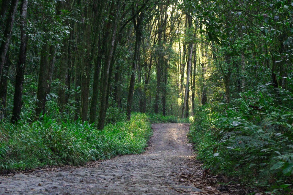 Otro parque natural en Colombia abre sus puertas al ecoturismo