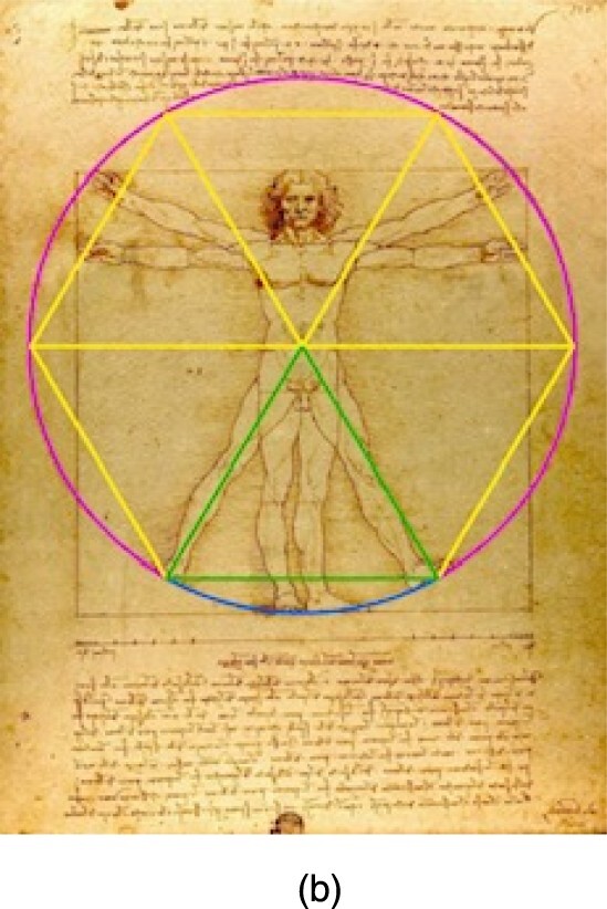 El triángulo oculto en uno de los dibujos más famosos de Da Vinci.