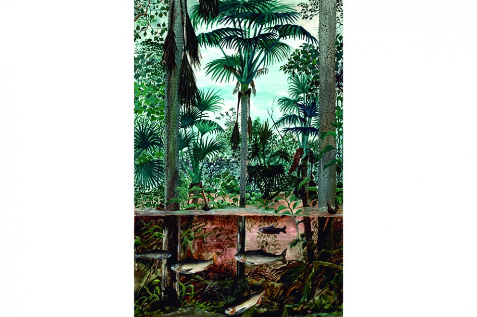 Los peces que no sabemos comer