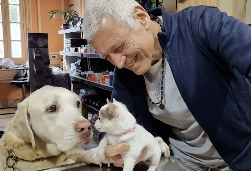 Bongo, el perro “enfermero”: así ayuda a mascotas hospitalizadas a recuperarse