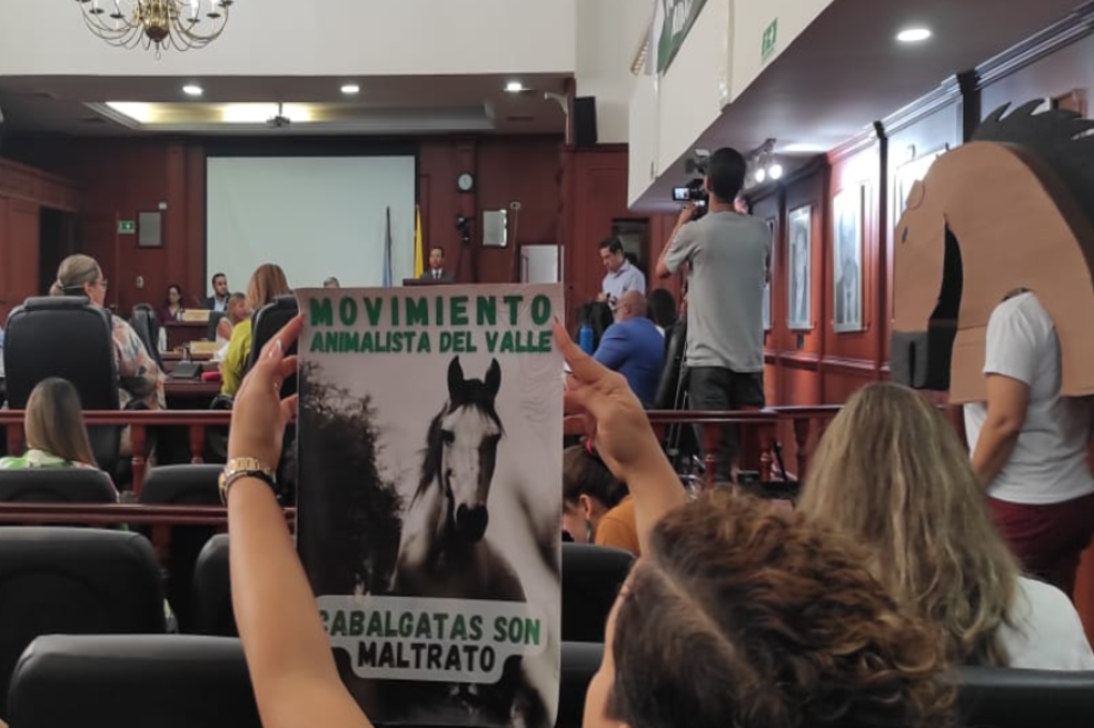 Radican proyecto de ordenanza para regular las cabalgatas en el Valle del Cauca
