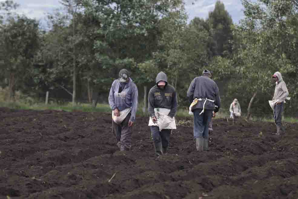 Las desigualdades de la resolución 970 del ICA
