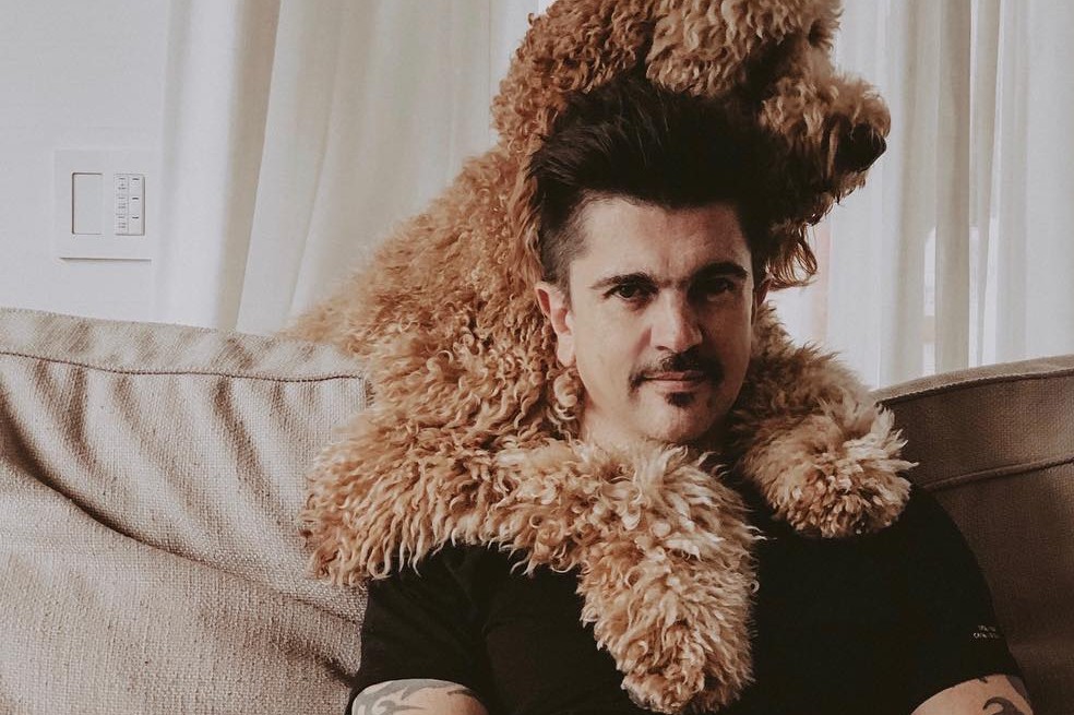 6 famosos que celebran el Día del Perro con sus costosas mascotas