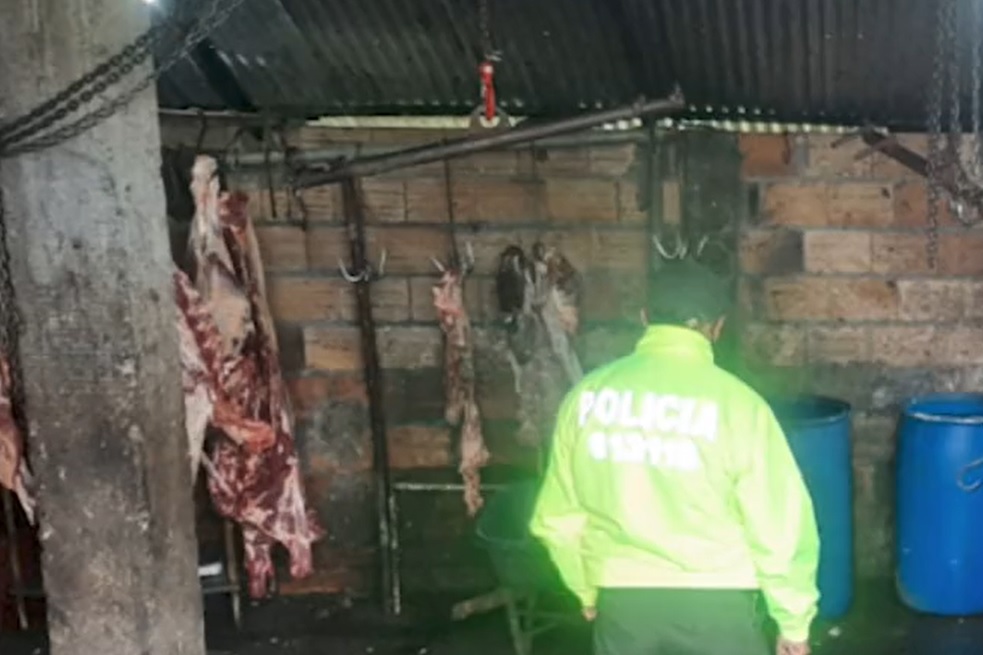 Cayeron “Los Pelones”, banda dedicada al hurto de ganado en Cundinamarca