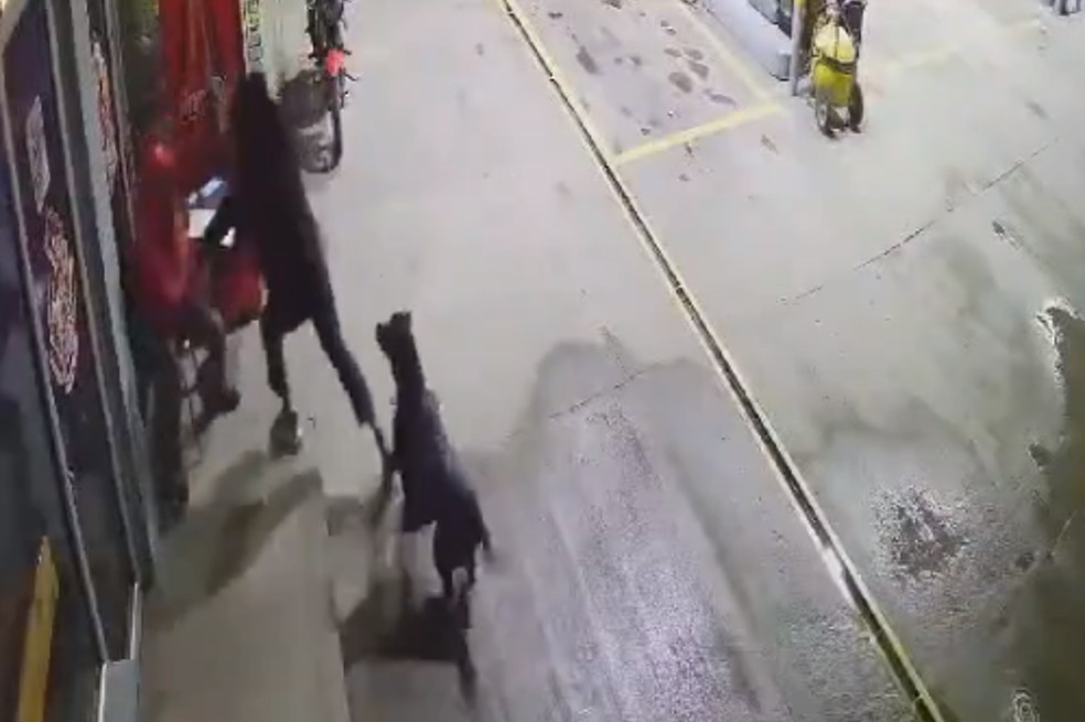 Negra, perrita que atacó a ladrón en gasolinera, recibió regalo de Navidad