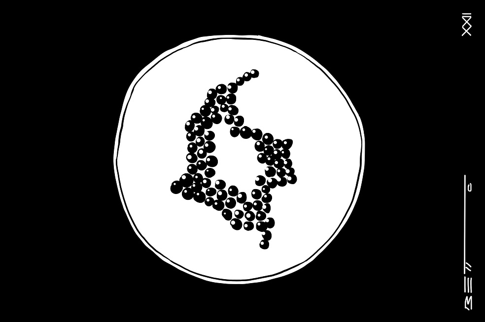 Fruta electoral