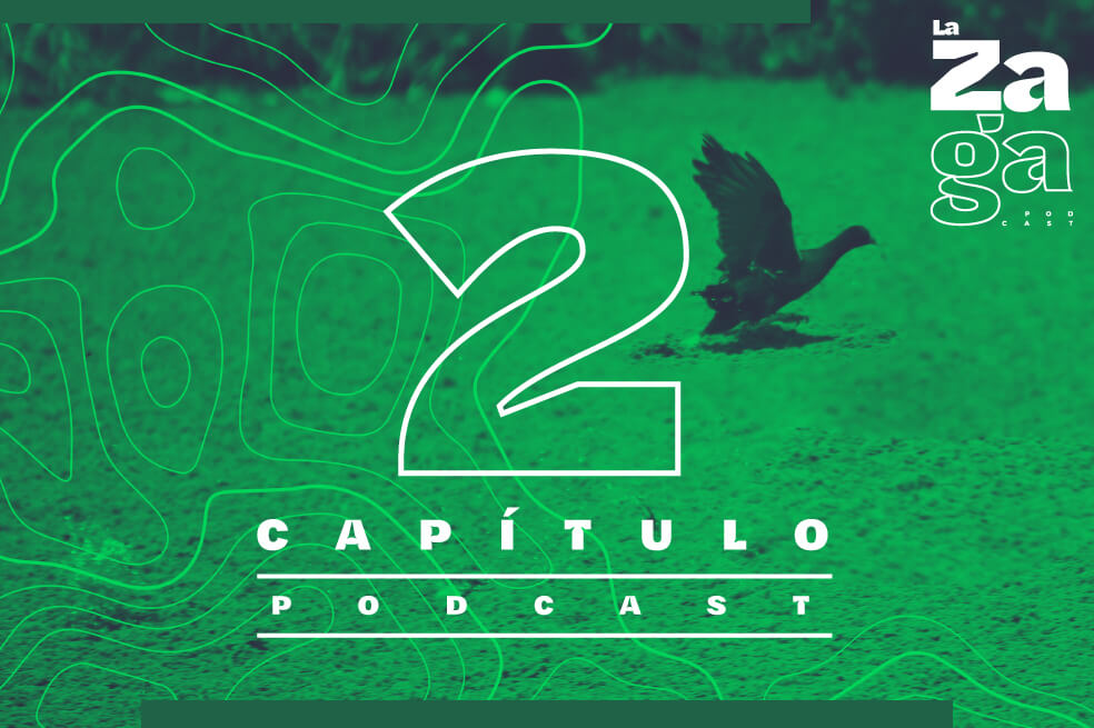 Pódcast La Zaga: El gran pantano de la Sabana