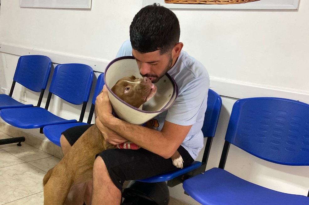 Luna, perrita que recibió un machetazo, se recuperó y encontró una nueva familia