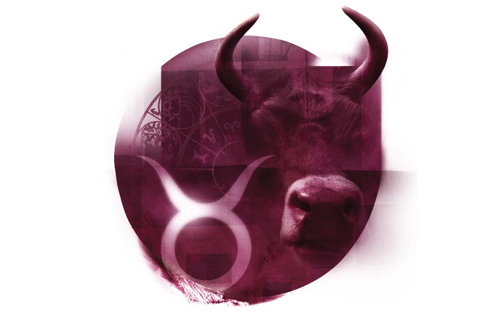 Tauro