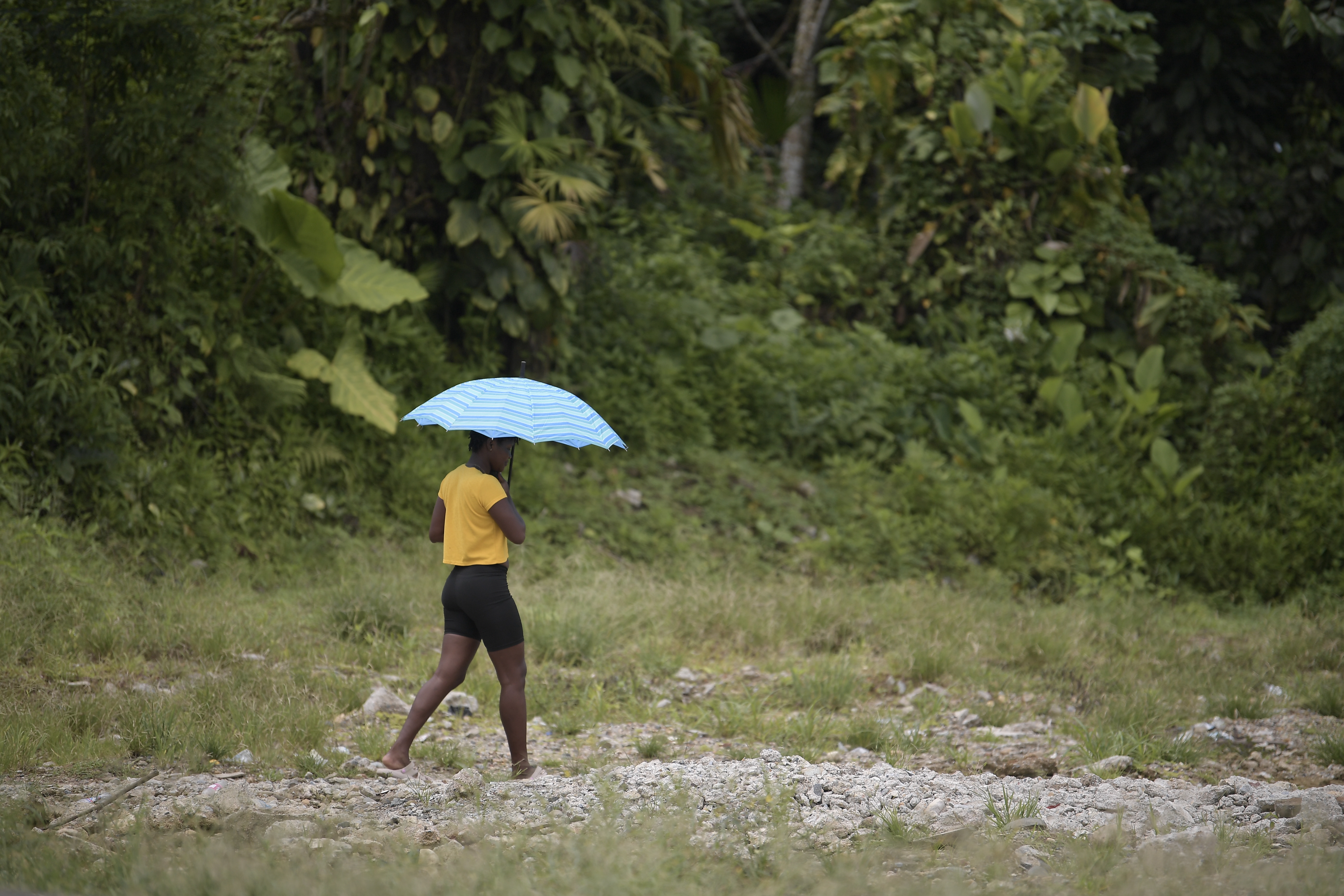 Lo que revela el primer atlas de comunidades afro y biodiversidad en Latinoamérica