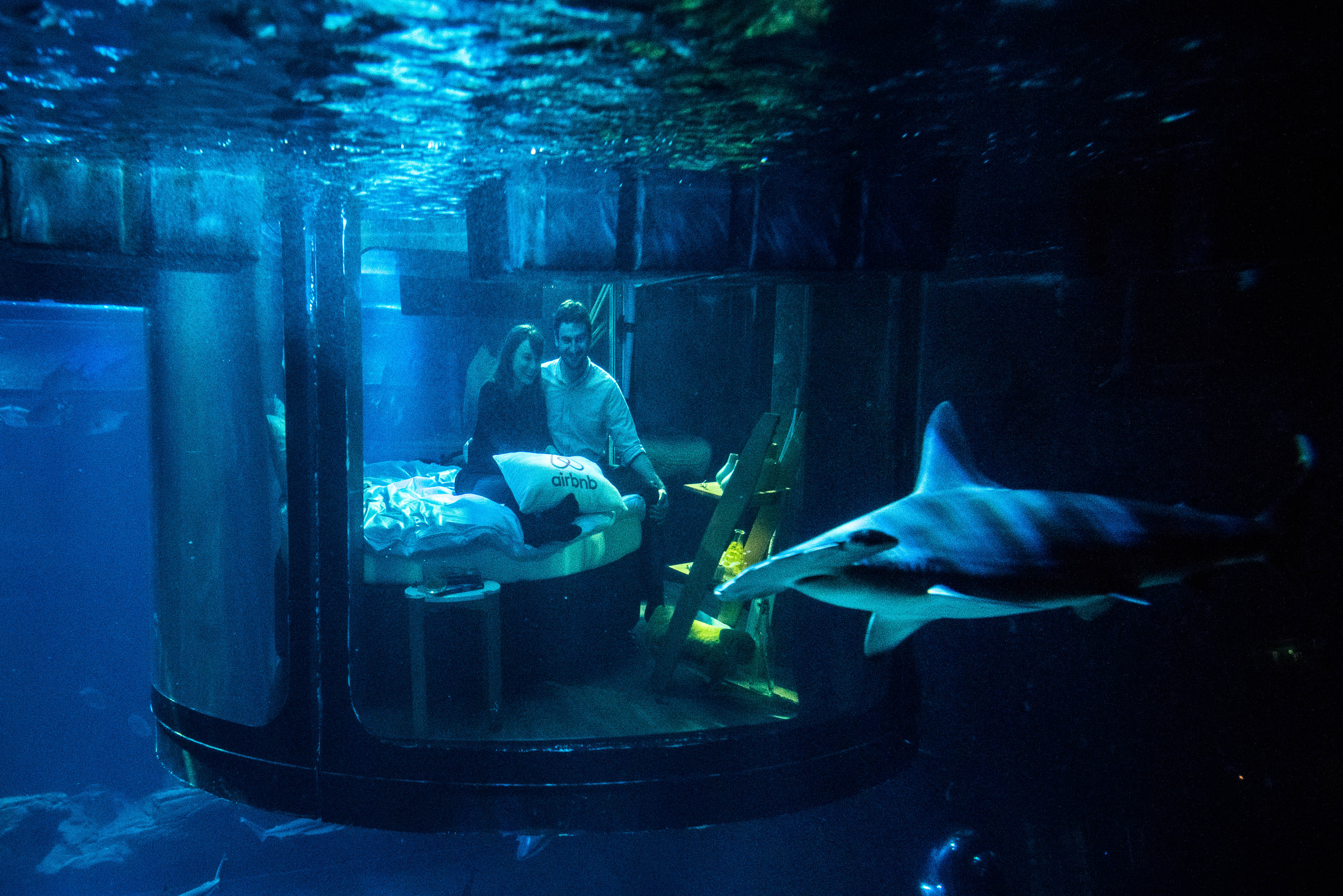 El Acuario de París donde se duerme con tiburones