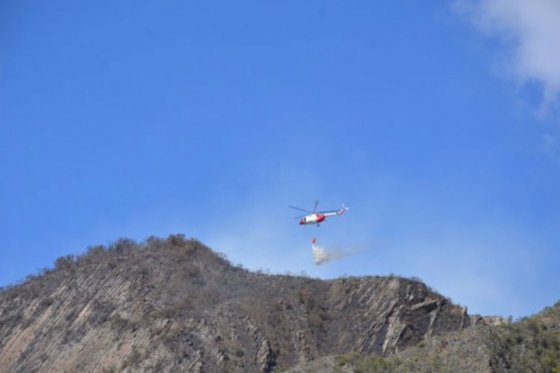 Proponen crear la Agencia Nacional del Fuego para reaccionar con celeridad ante incendios
