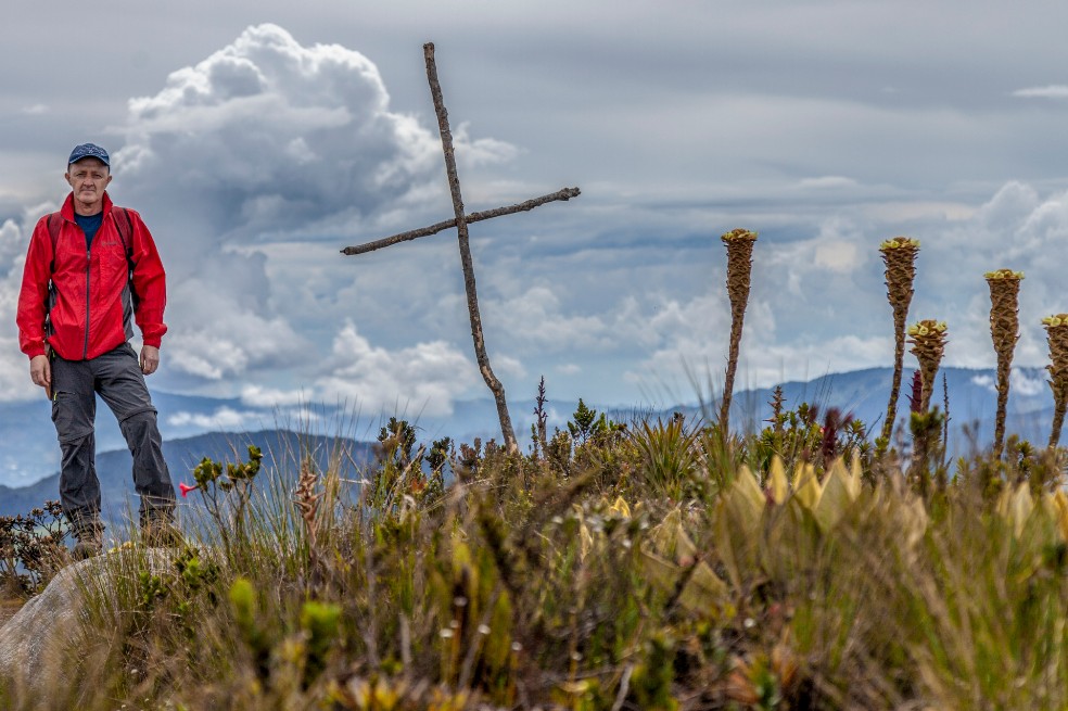 Descubren especie de frailejón en Colombia