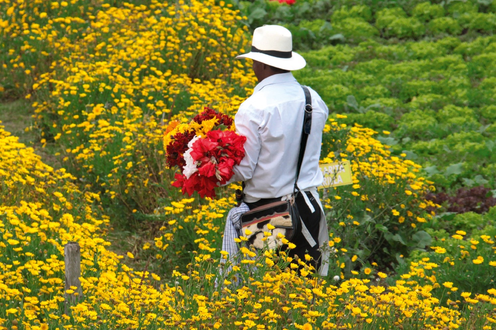“Me voy para Medellín, a la Feria de las Flores”: 60 años de tradición que florece
