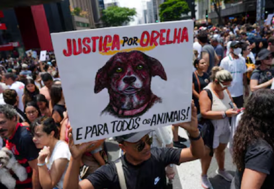 Maltrato animal: Brasil se moviliza y exige justicia por la muerte a golpes de un perro