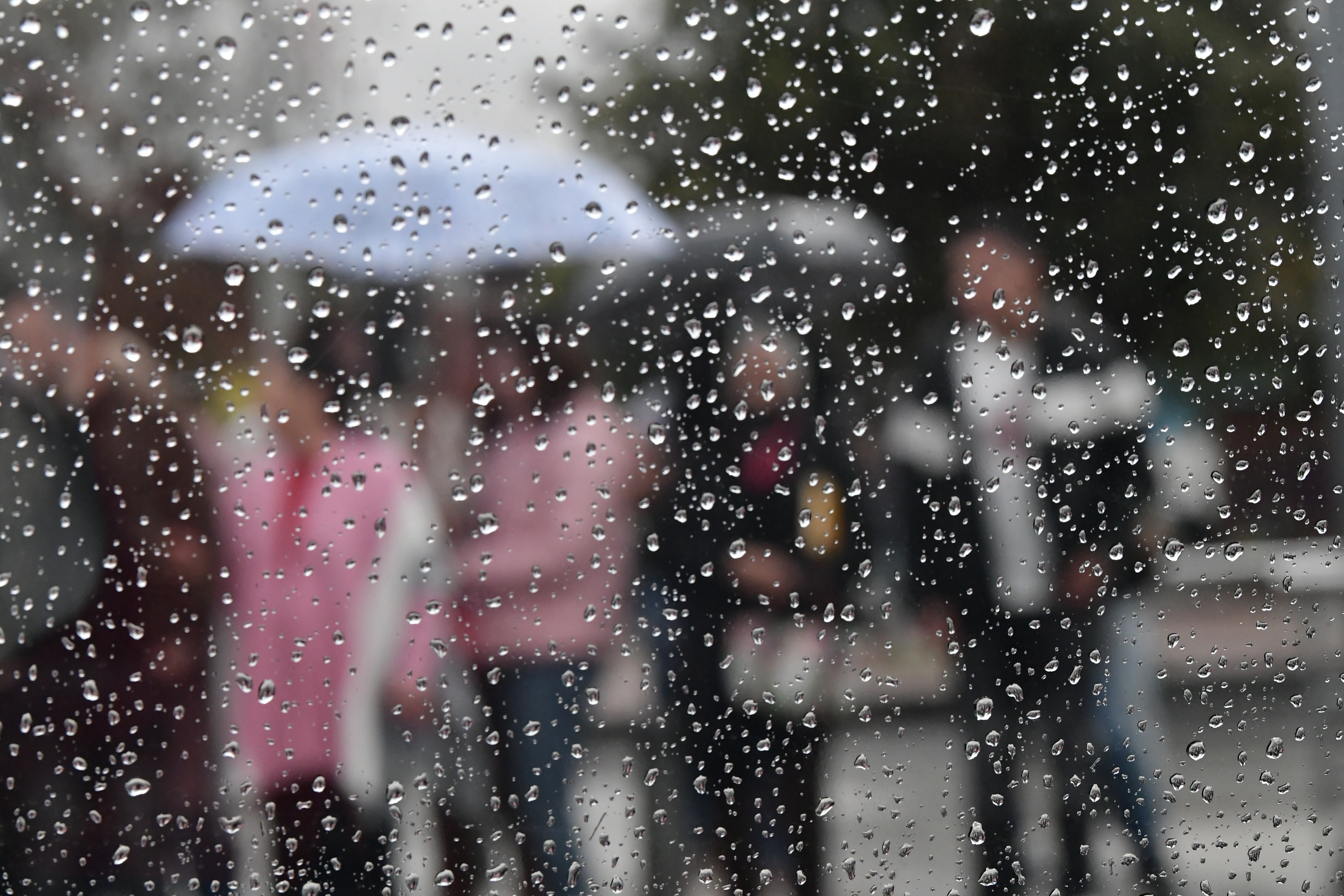 ¿Continuarán las lluvias en Bogotá este miércoles, 28 de enero? Esto dice el Ideam
