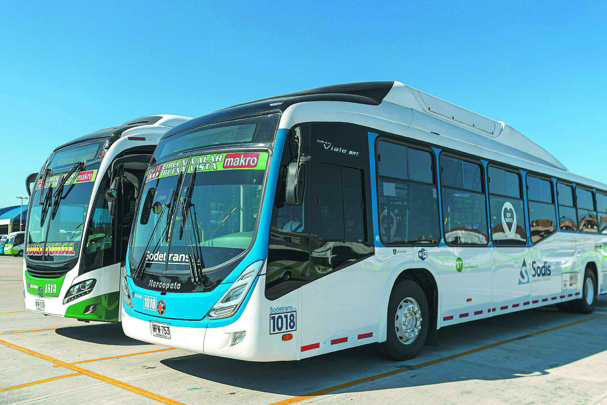 Buses.