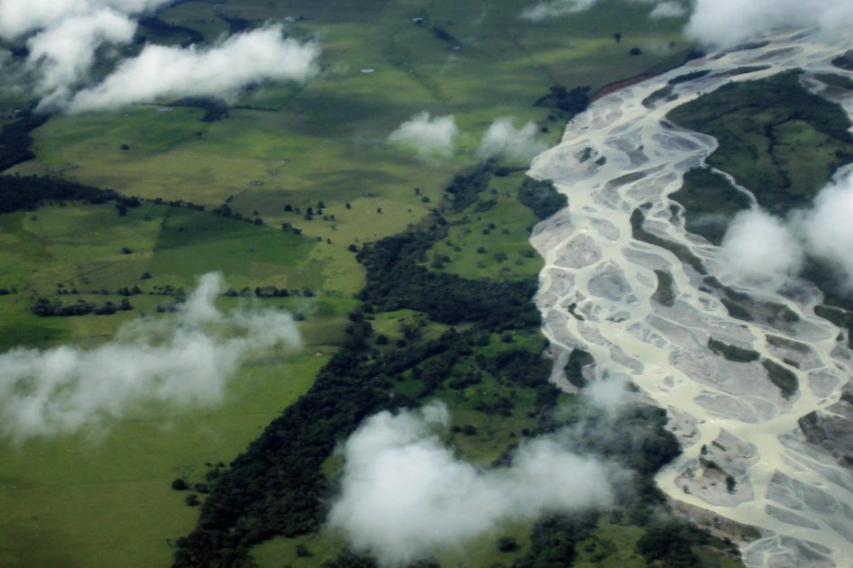 El 58% de la deforestación colombiana ocurre en municipios de conflicto