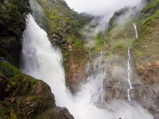 El Salto de Candelas es una imponente cascada ubicada en el municipio de Pajarito, Boyacá, considerada una de las más altas de Colombia con una caída de alrededor de 200 metros. Formada por las aguas del río Cusiana y rodeada por un bosque de la cordillera Oriental de los Andes, este lugar destaca por su riqueza natural, sus paredes rocosas en forma de herradura y su potencial para el ecoturismo. Para llegar, se debe viajar desde Bogotá hacia Pajarito por la ruta Tunja–Paipa–Duitama–Sogamoso y, una vez allí, iniciar una caminata desde la vereda Corinto atravesando puentes colgantes y senderos rocosos hasta llegar a la cascada.