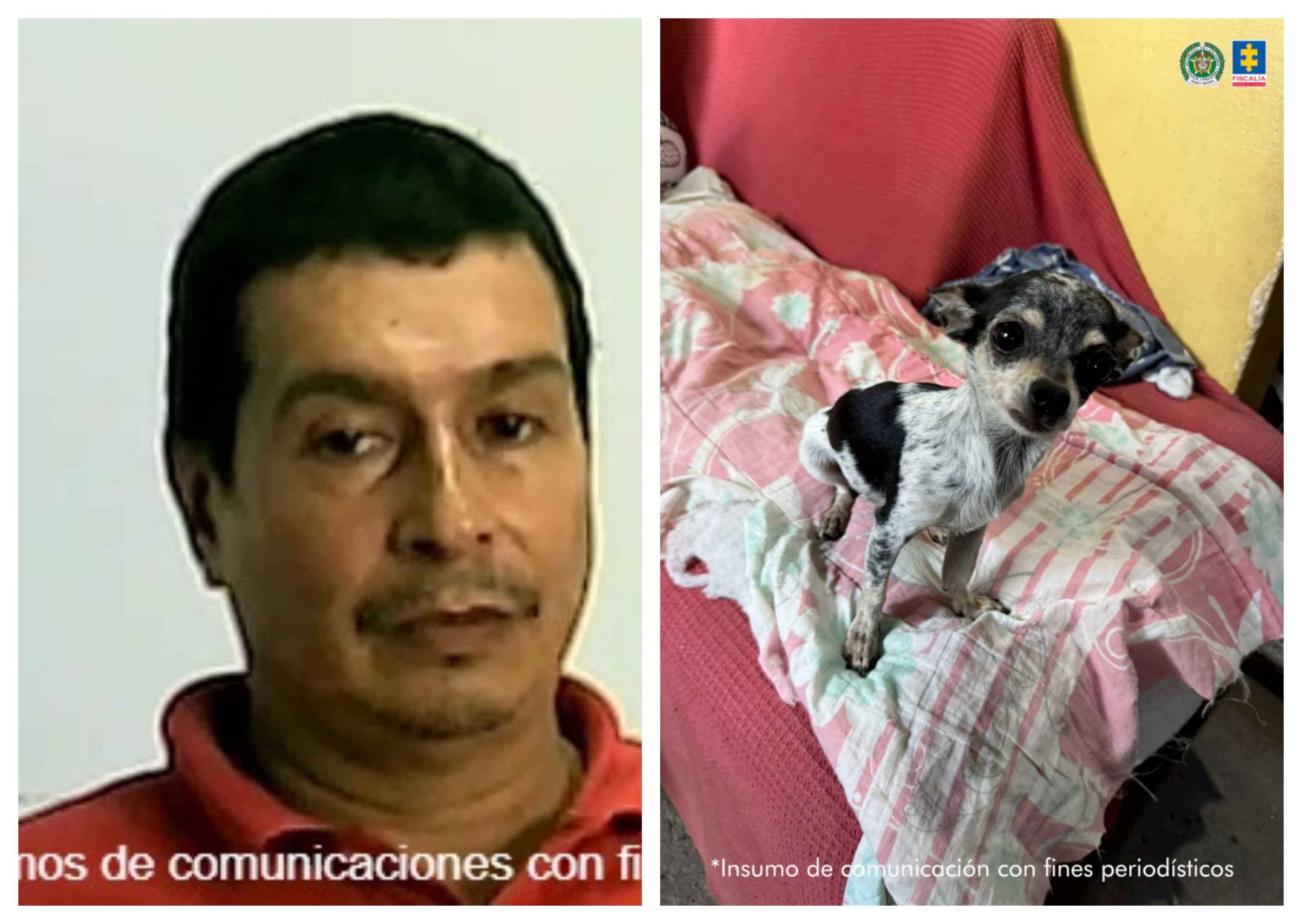 Prisión domiciliaria para hombre que mantenía en cautiverio animales en el Valle