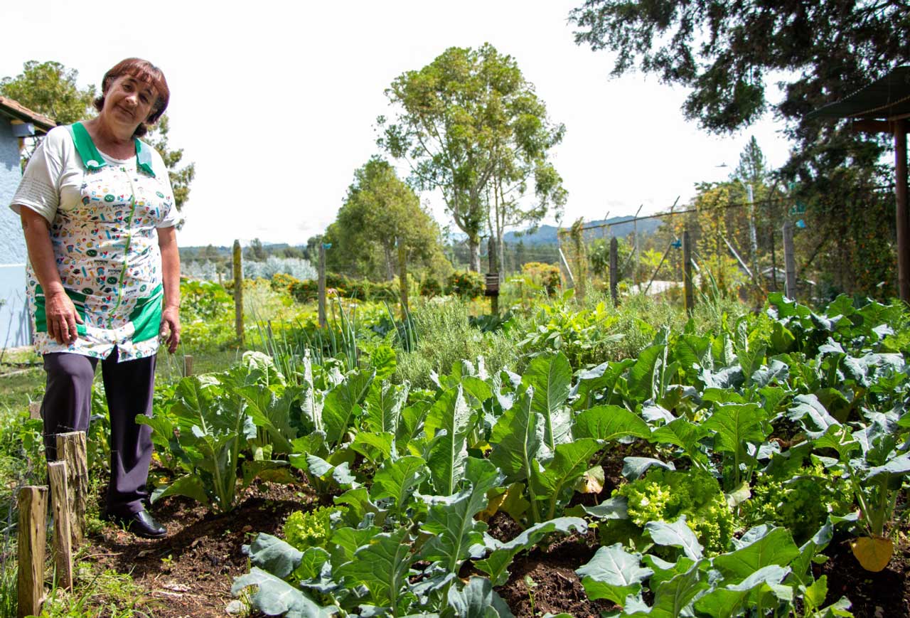 Más de 600 familias se beneficiarán de huertas de autoconsumo en Medellín