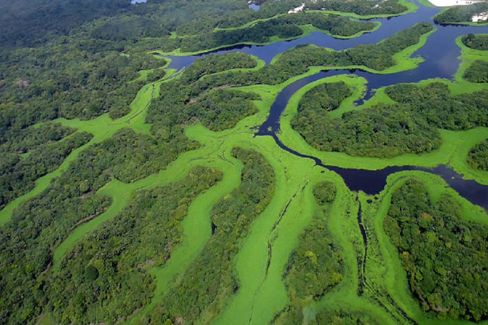 En dos ocasiones el mar inundó el Amazonas Occidental