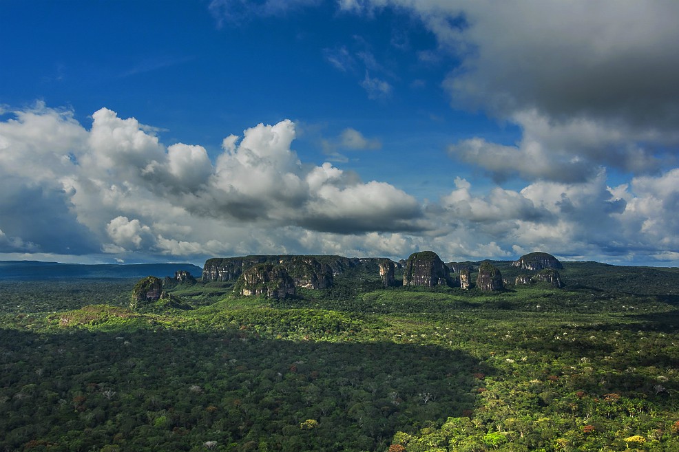 En un año talaron el equivalente a 800 veces el parque Simón Bolívar en la Amazonia