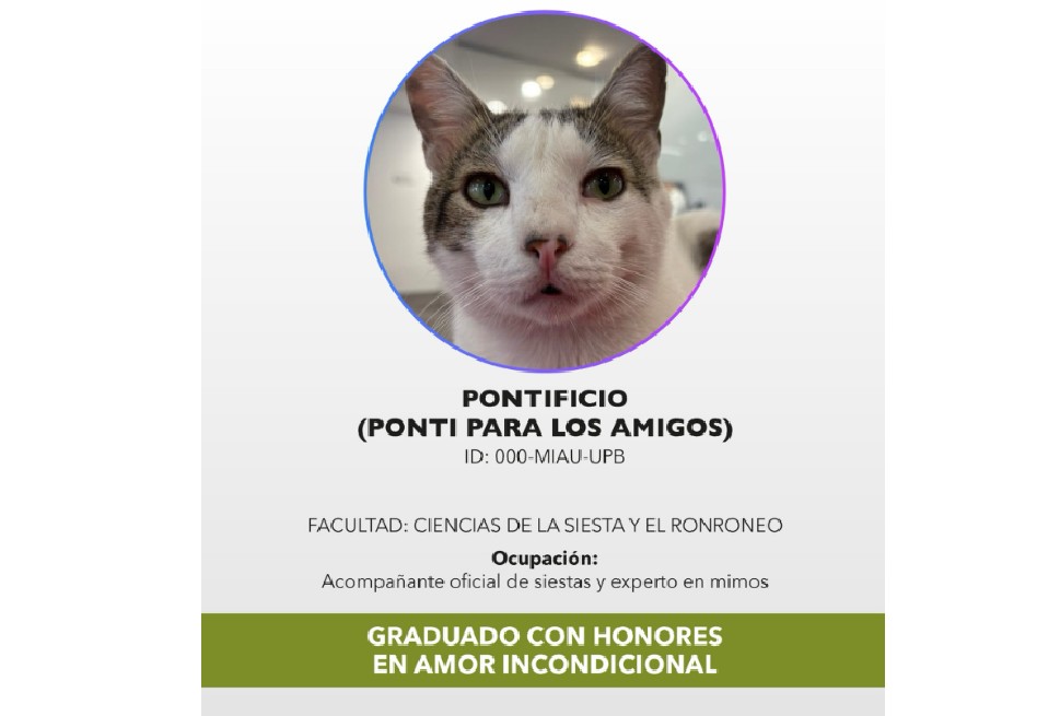 Pontificio, el gato que se graduó con honores de una universidad de Medellín: “gracias”