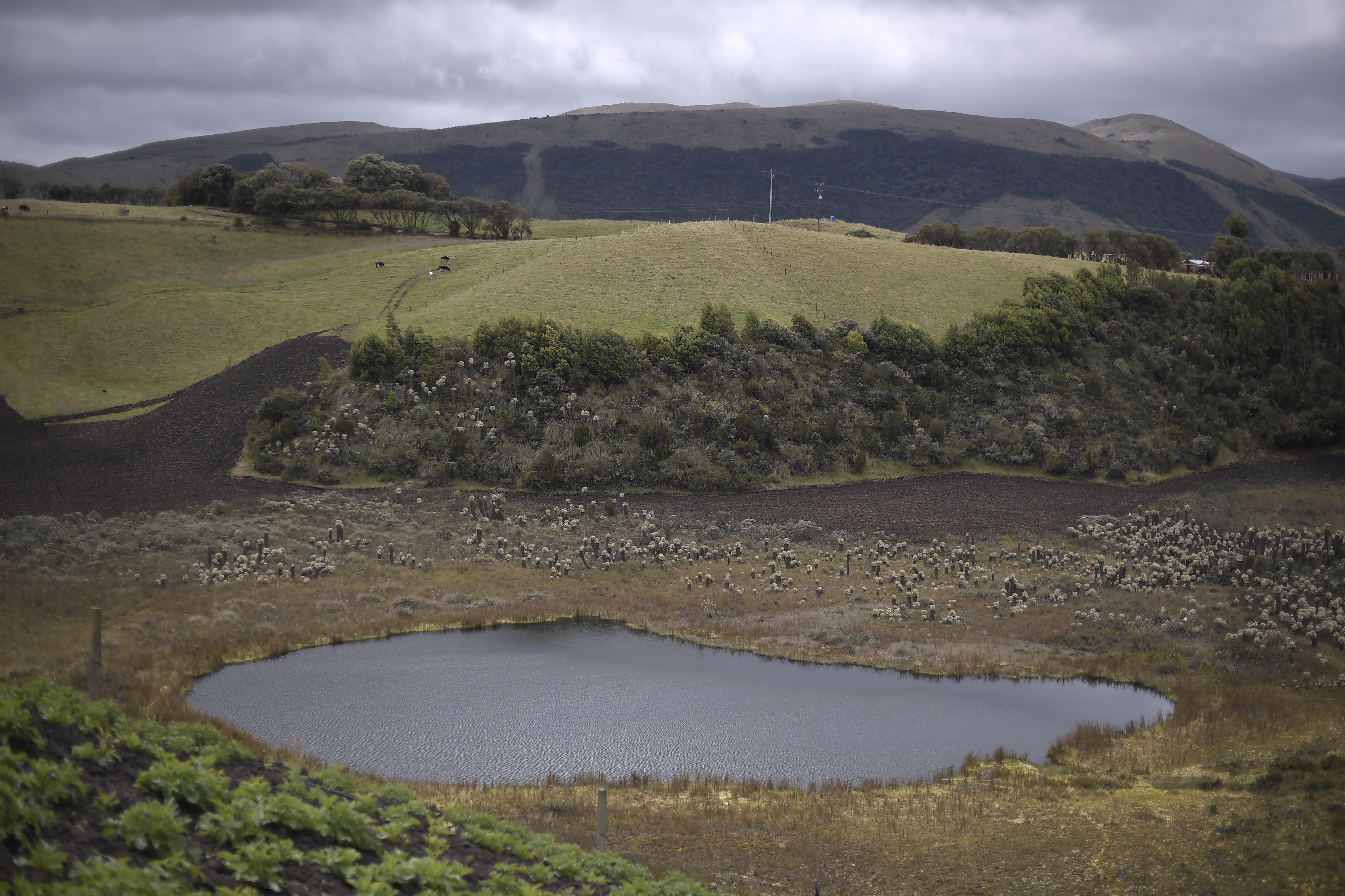 “Páramo Amoroso,  un homenaje a los amigos del agua”