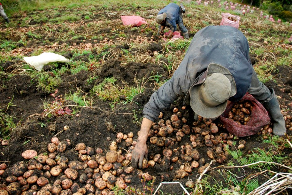 Crece descontento de ministros por recorte presupuestal que afecta inversión