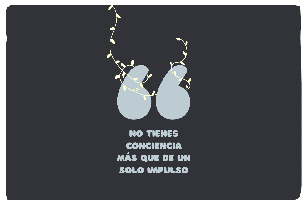 Goethe, sus tribulaciones y su obra (III)