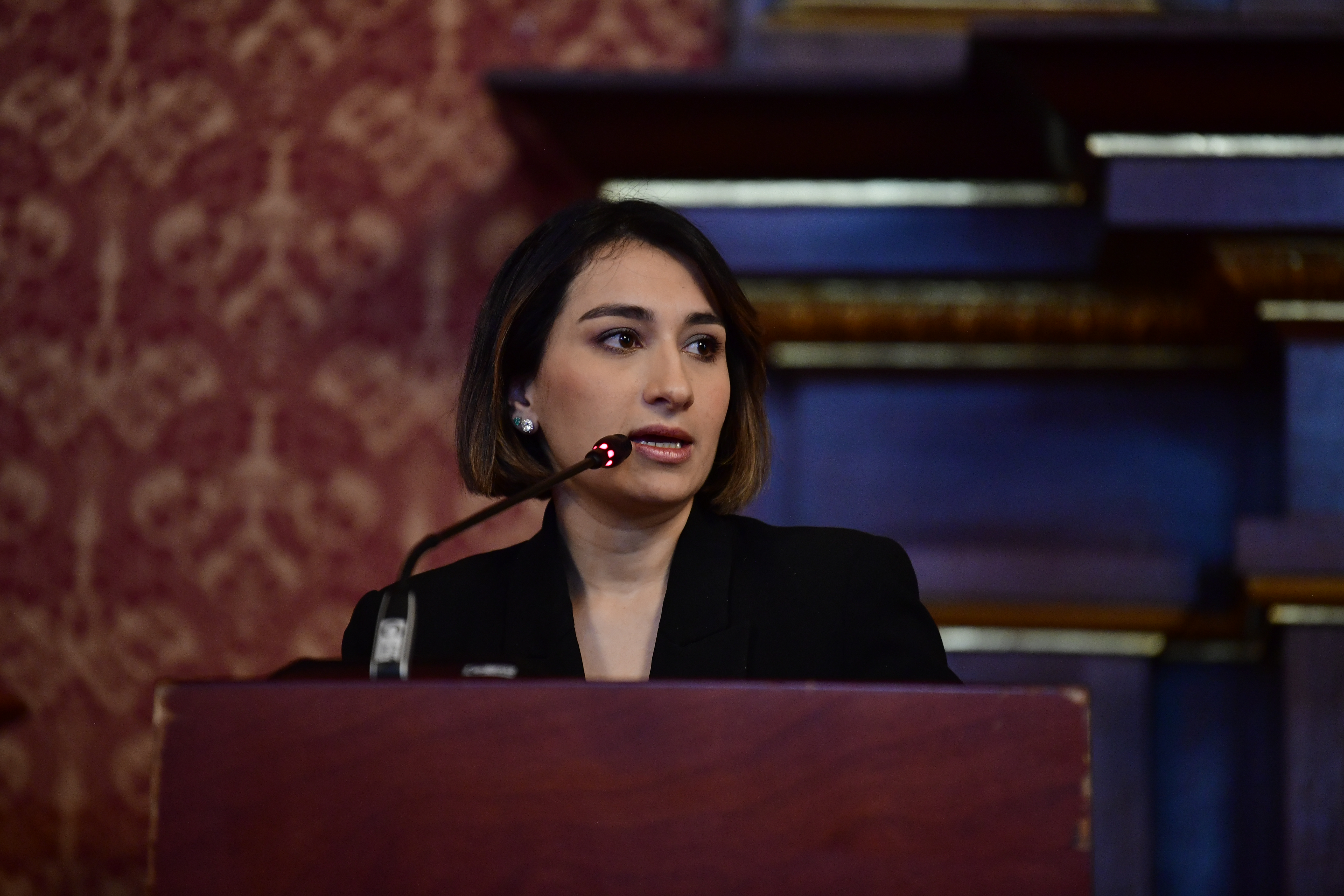 Ministra de Relaciones Exteriores de Colombia durante la presentación de la declaración de intereses para la cooperación bilateral en el Palacio de San Carlos.