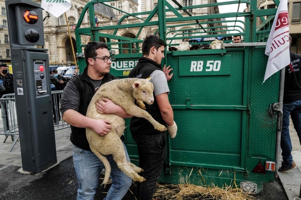 Alcalde de Lyon retiró la carne del menú escolar y desata polémica