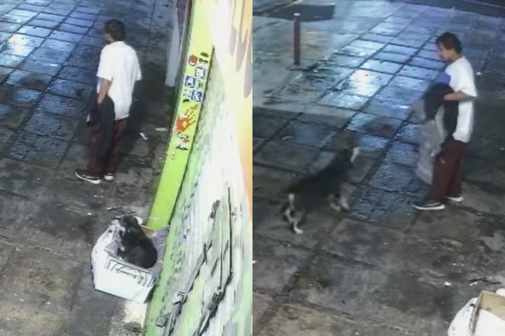 A este perrito le robaron la cobija mientras dormía, pero, gracias al apoyo de las personas, encontró un nuevo hogar.