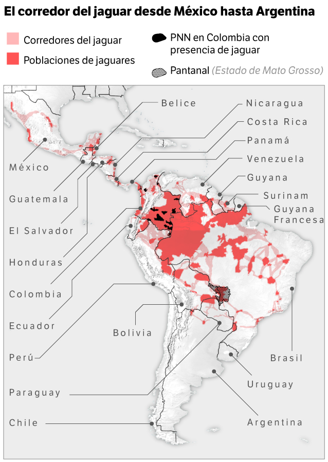 Corredor del jaguar de México a Argentina.