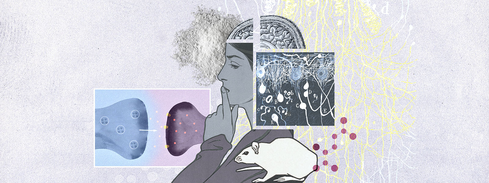 Entrevista con una neurocientífica que estudia lo que la adicción le hace al cerebro