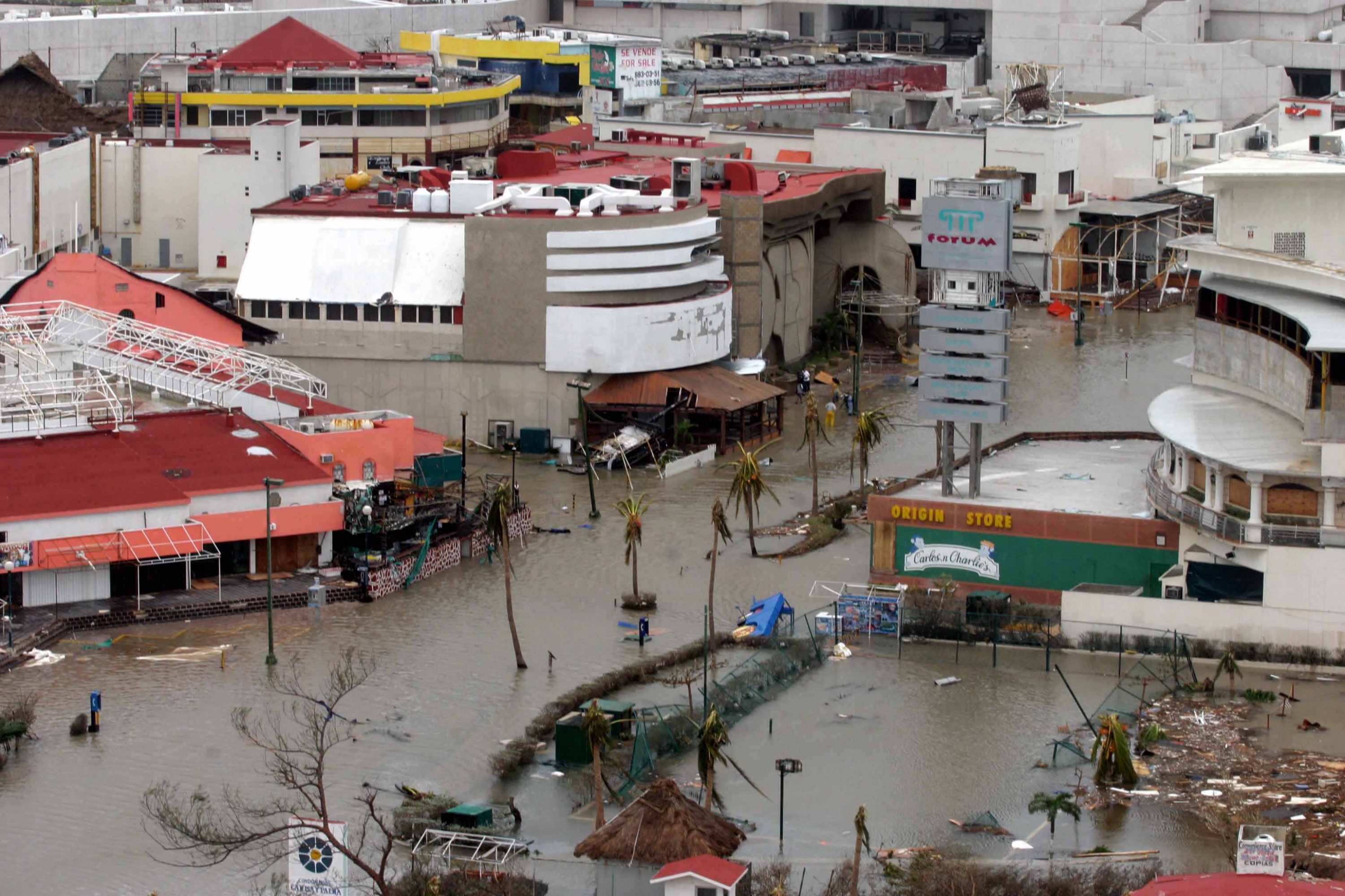 Huracán 'Wilma', a 11 años de su paso por Quintana Roo – El Financiero