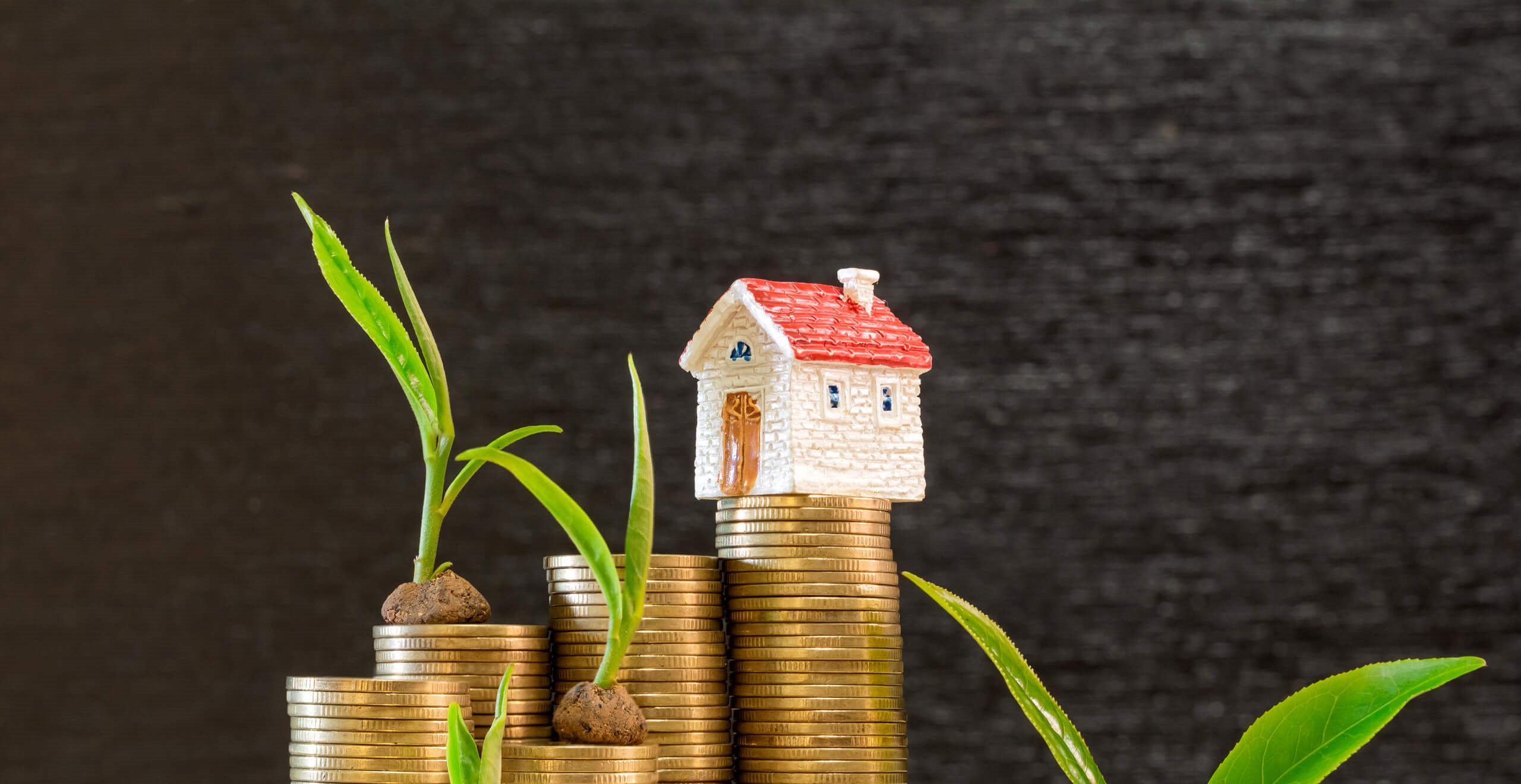 Ganar dinero en 'casas encantadas': hay inmobiliarias que pagan por los  minutos que el 'probador' permanezca en ellas